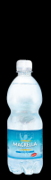 Formato da 0,5 L